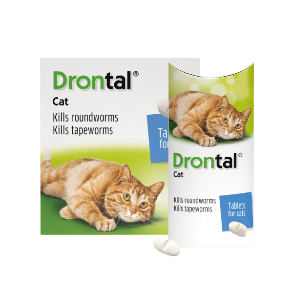Drontal Cat Worming Tablet – Pet People