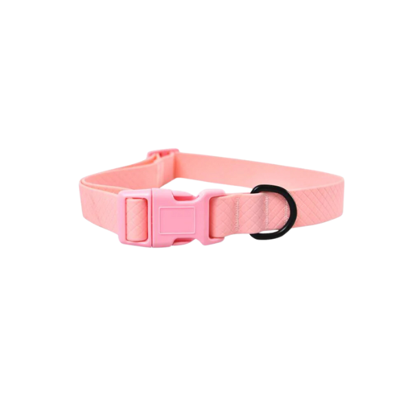 Naomi - Dog Collar - M