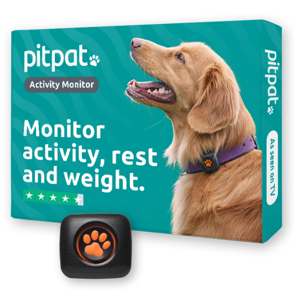 PitPat - Dog Activity Monitor - No Subscription