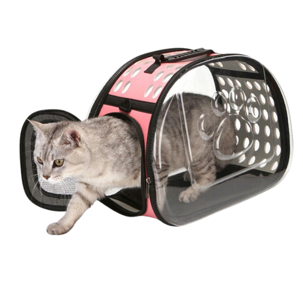 Transparent Cat Bag